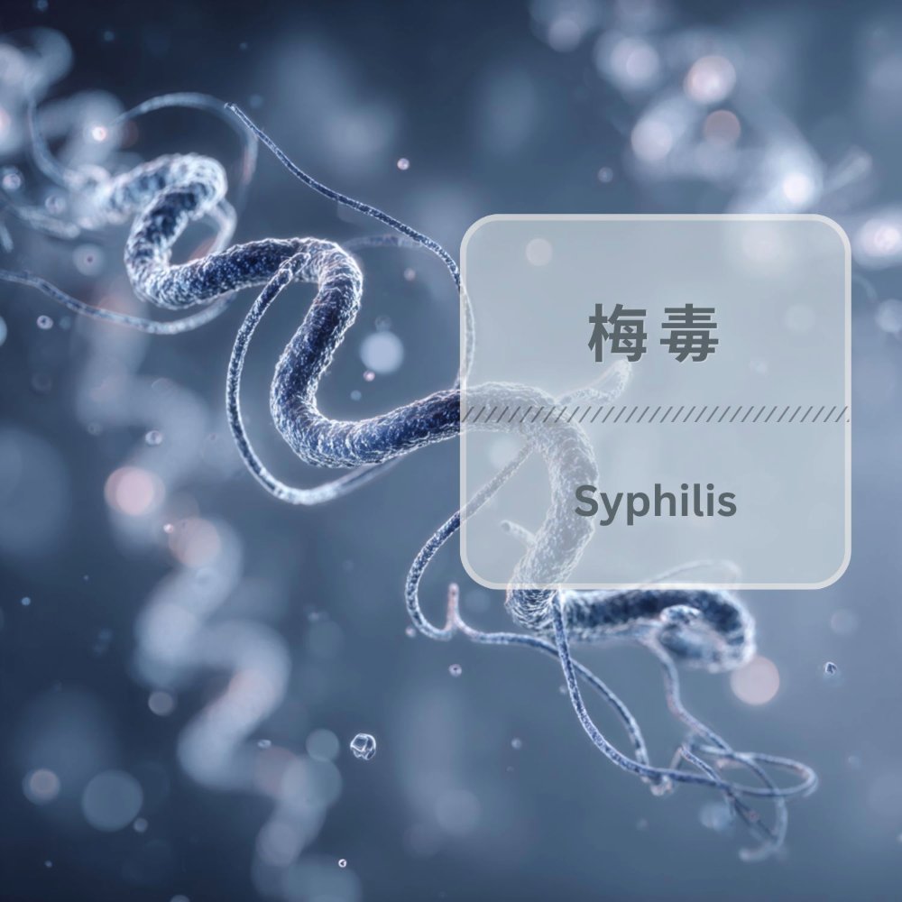 梅毒（Syphilis）