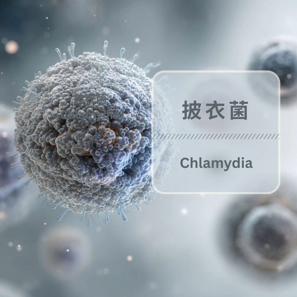 披衣菌（Chlamydia）