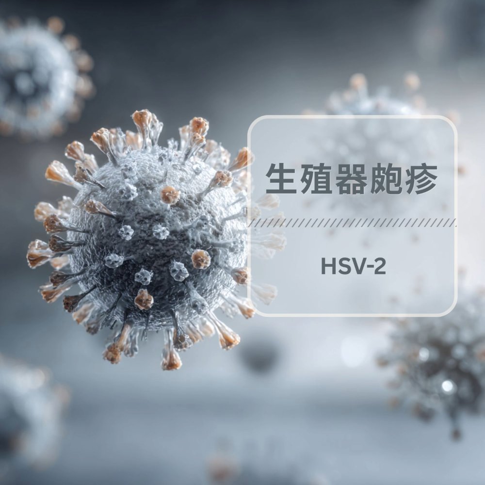 生殖器疱疹（HSV II）