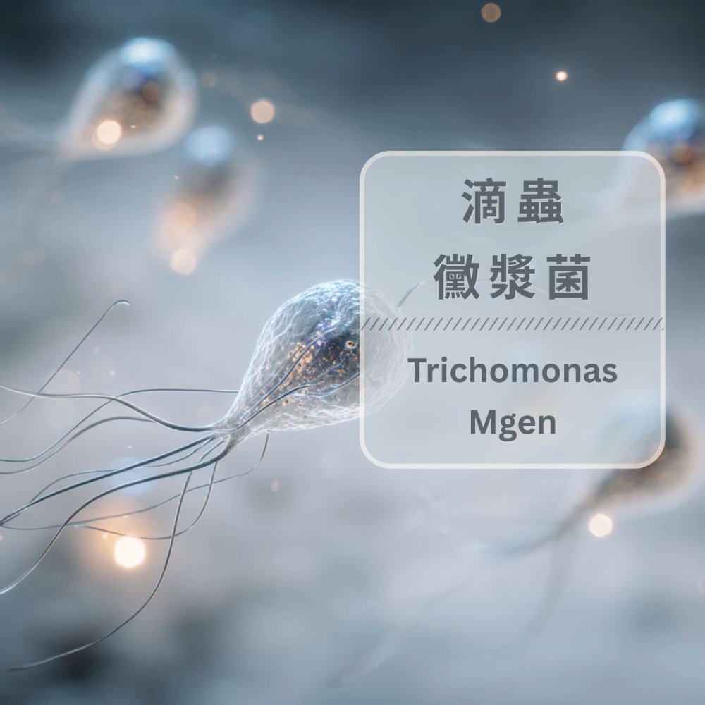 滴蟲 / 黴漿菌與尿漿菌（Trichomonas / Mycoplasma / Ureaplasma）