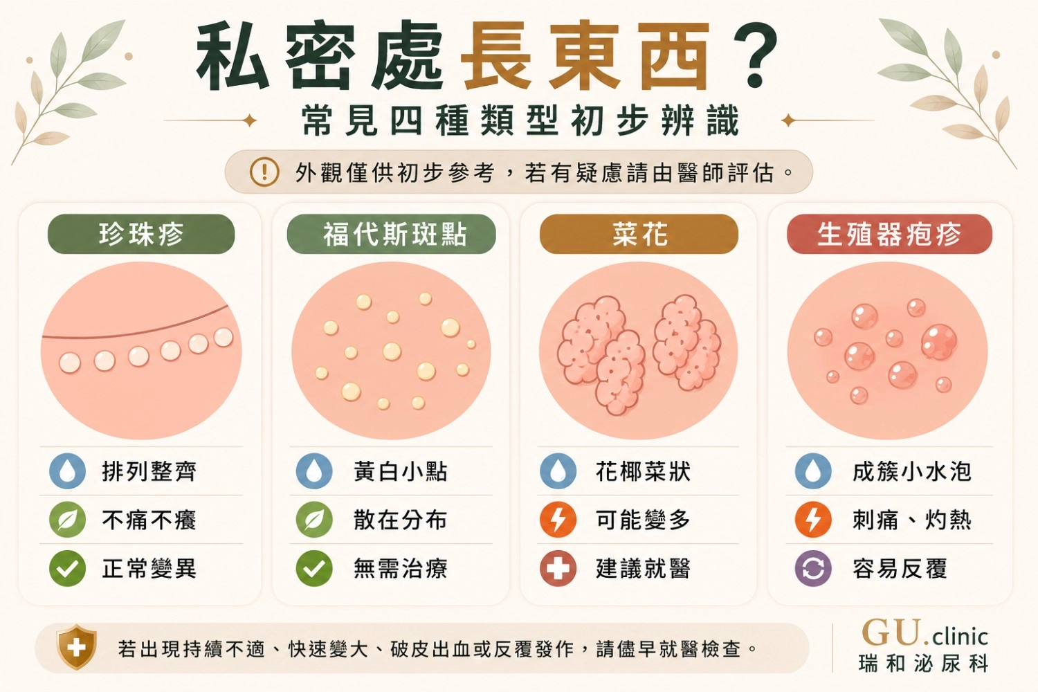 私密處顆粒與水泡外觀比較，包含菜花（HPV）、生殖器疱疹（HSV）、珍珠疹及福代斯斑點的初步辨識圖