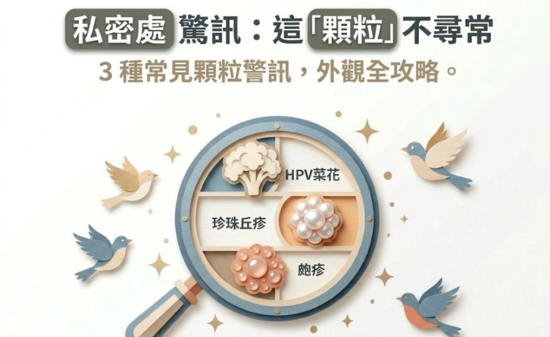 私密處長顆粒是什麼？怎麼辦？泌尿科醫師解析常見私密處菜花、珍珠疹、福代斯斑點對比與治療方法