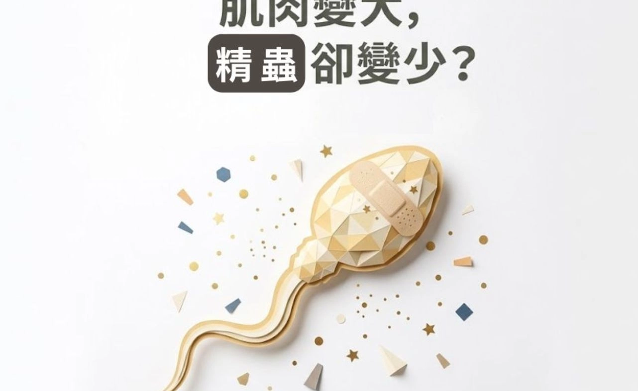 備孕可以打睪固酮嗎？TRT、健身荷爾蒙與男性生育力一次看懂