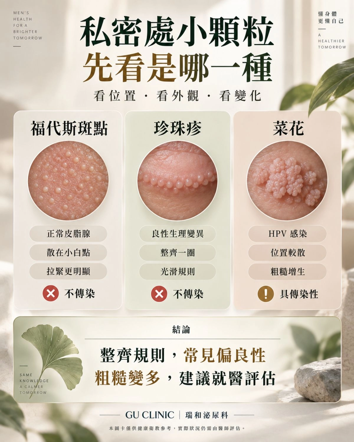 福代斯斑點、陰莖珍珠疹與生殖器菜花外觀對照圖解：教你從分佈位置、皮膚拉緊特徵與傳染性快速鑑別私密處白點｜瑞和泌尿科