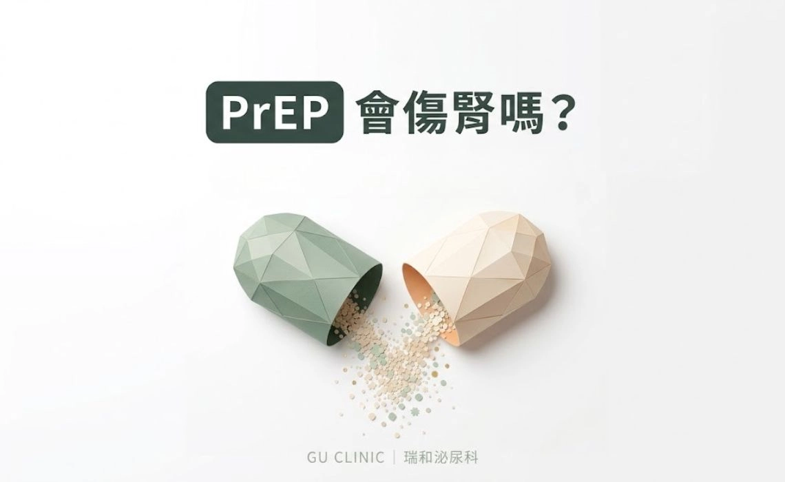 吃 PrEP 會傷腎嗎？TDF、TAF 與長效 PrEP 差異一次看懂