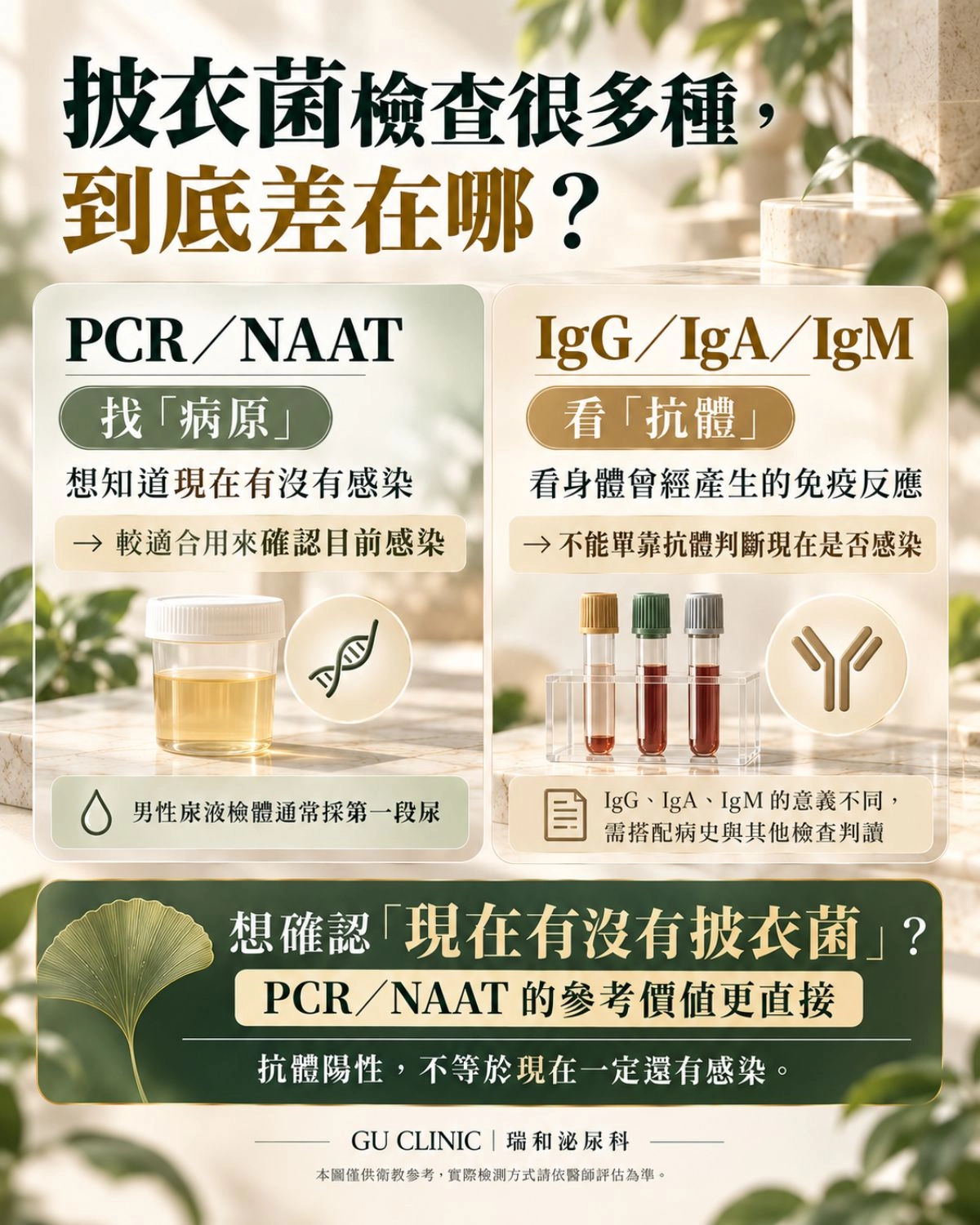 披衣菌怎麼檢查?PCR/NAAT 與 IgG、IgA、IgM 差異一次看懂 披衣菌檢查比較圖卡,說明 PCR/NAAT 用於偵測披衣菌病原,IgG、IgA、IgM 為抗體檢測,並提醒想確認目前是否感染時,PCR/NAAT 的參考價值較直接。
