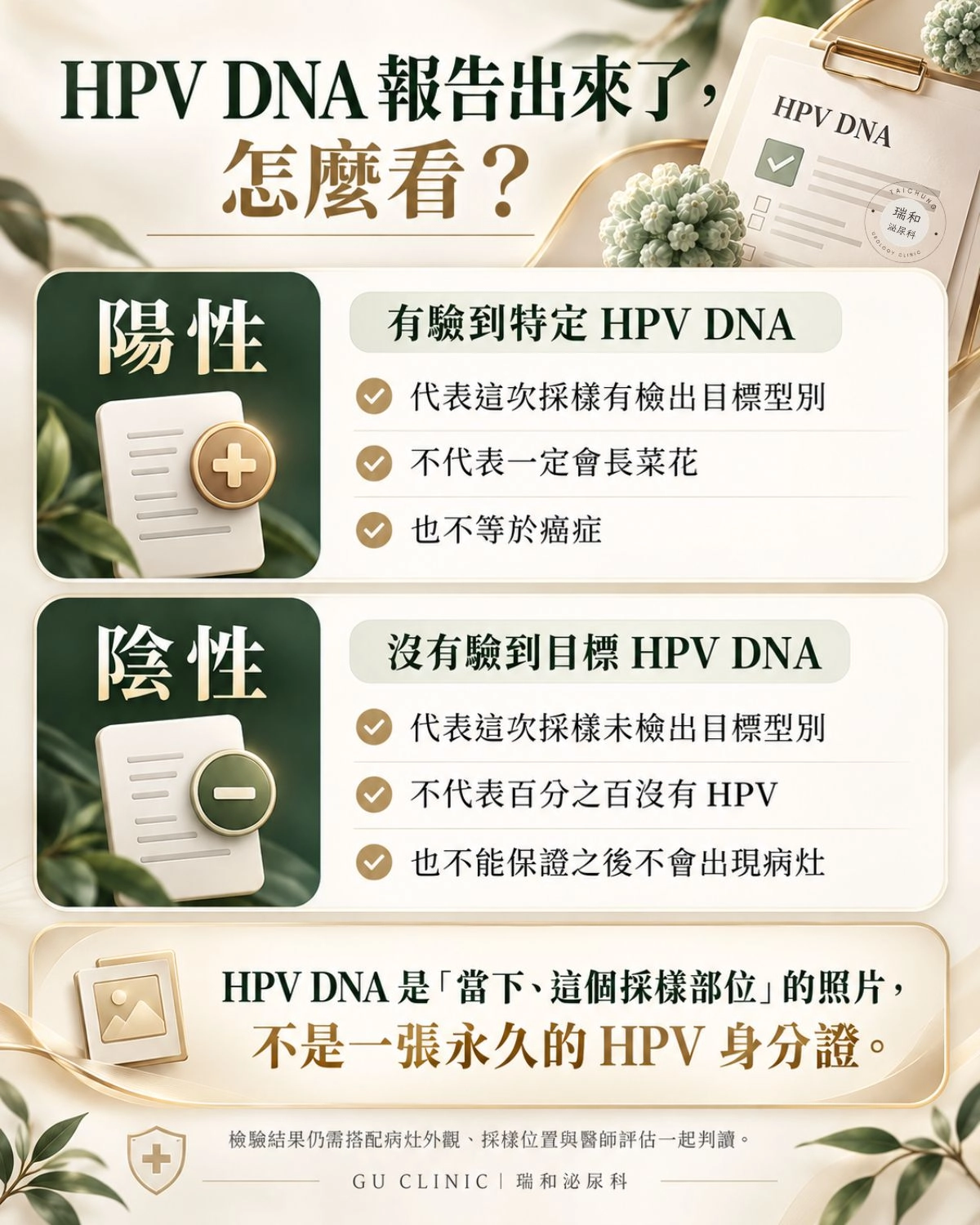 HPV DNA 檢測結果判讀圖卡，說明陽性代表此次採樣檢出特定 HPV DNA，但不代表一定會長菜花或罹癌；陰性則不代表百分之百沒有 HPV，也不能保證之後不會出現病灶。