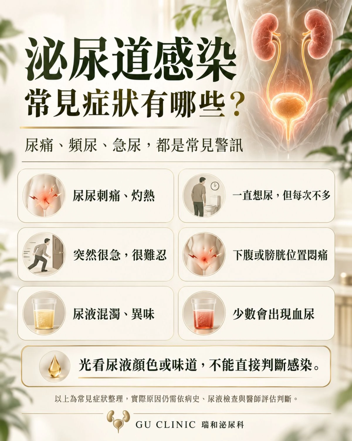 泌尿道感染有哪些症狀?尿痛、頻尿、急尿一次看懂 泌尿道感染常見症狀圖卡,整理排尿刺痛灼熱、頻尿、急尿、下腹悶痛、尿液混濁異味及少數血尿等常見表現。