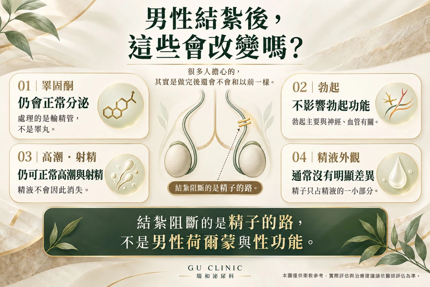 男性結紮會影響性功能嗎?睪固酮、勃起與射精一次看懂 男性結紮後性功能與睪固酮說明圖,整理結紮對睪固酮、勃起、高潮射精與精液外觀的影響,並說明手術阻斷的是輸精管與精子運輸路徑。