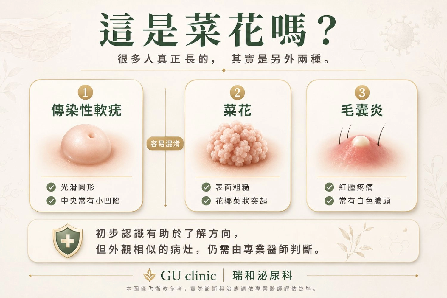 傳染性軟疣、菜花、毛囊炎怎麼分辨 瑞和泌尿科衛教圖卡,比較傳染性軟疣、菜花與毛囊炎三種常見私密處小顆粒的外觀特徵,協助初步辨識與了解差異。