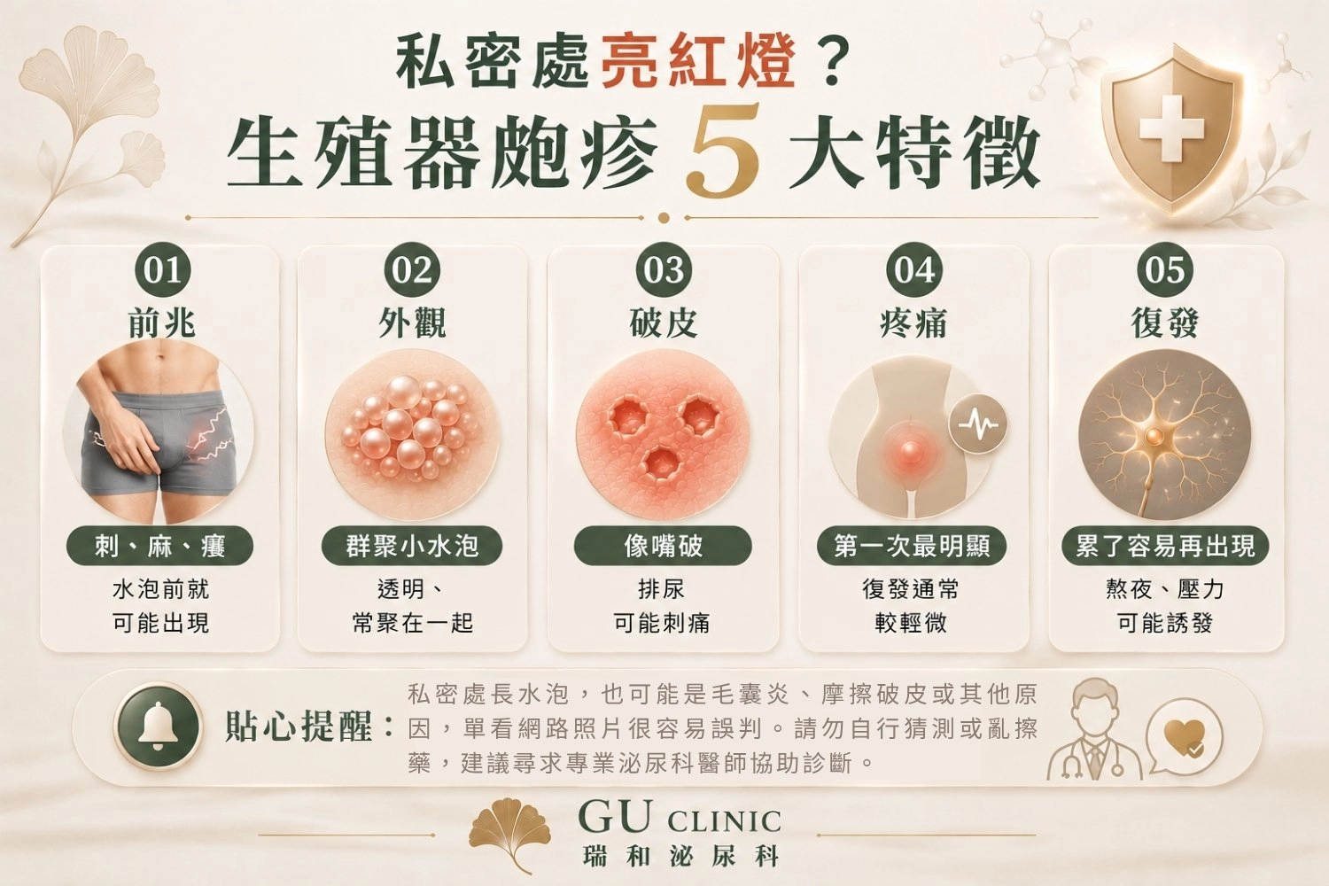 皰疹長什麼樣子 生殖器皰疹症狀衛教圖,整理初期前兆、群聚小水泡、破皮潰瘍、疼痛變化及容易復發等五大常見特徵,協助初步認識生殖器皰疹的典型表現。
