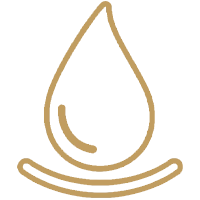 泌尿疾病icon